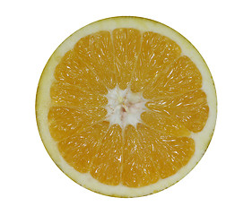 Image showing Orange Slice