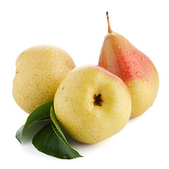 Image showing Three ripe pears