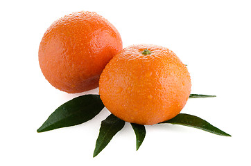 Image showing Fresh orange mandarin