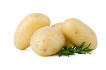 Image showing New potatoes and green herbs