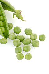 Image showing Fresh green pea pod