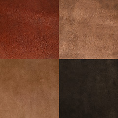 Image showing Set of brown leather samples