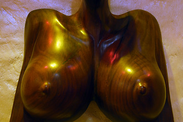 Image showing erotic wood