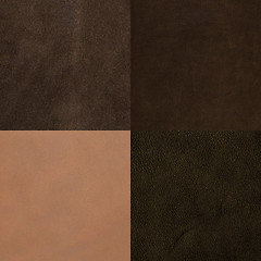 Image showing Set of brown leather samples