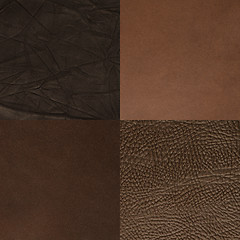 Image showing Set of brown leather samples