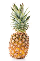 Image showing Pineapple