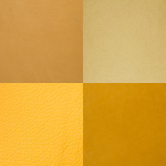 Image showing Set of yellow leather samples