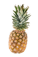 Image showing Pineapple