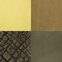 Image showing Set of green leather samples