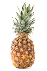 Image showing Pineapple