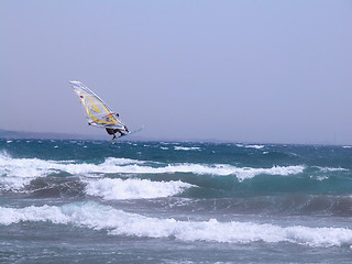 Image showing wind surfer