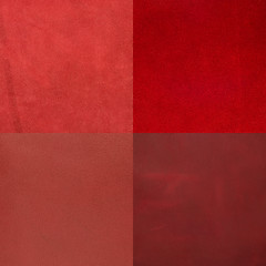 Image showing Set of red leather samples