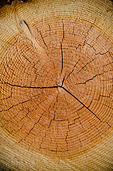 Image showing Crack wood spiral 