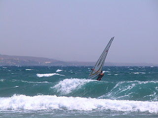 Image showing wind surfer