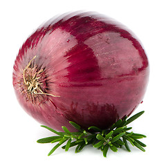 Image showing Red onion