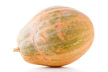 Image showing Calabash pumpkin