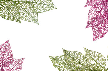 Image showing Christmas decorative green and pink leaves