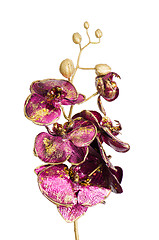 Image showing Golden and purple Christmas decoration