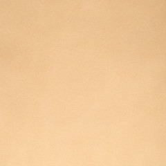 Image showing Beige leather