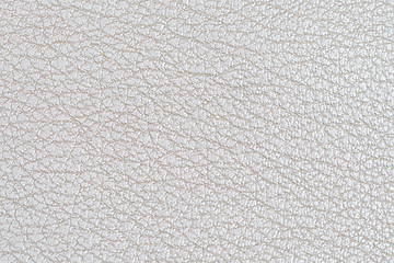 Image showing White leather