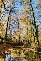 Image showing Autumn view of national park of geres