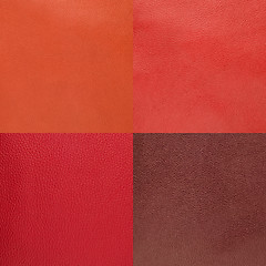 Image showing Set of red leather samples