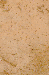 Image showing Suede background