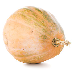 Image showing Calabash pumpkin