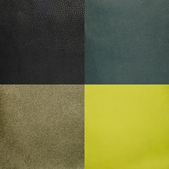 Image showing Set of green leather samples