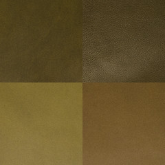 Image showing Set of green leather samples