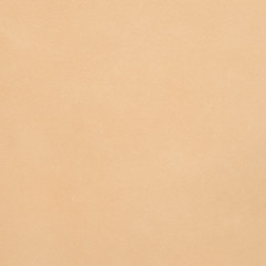 Image showing Beige leather