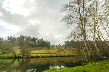 Image showing River in early autumn