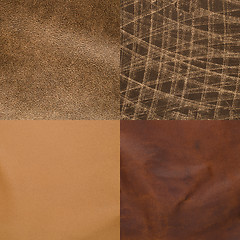 Image showing Set of brown leather samples