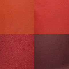 Image showing Set of red leather samples