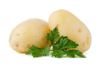 Image showing New potatoes and green parsley