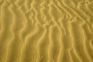 Image showing Pattern in sand