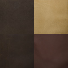 Image showing Set of brown leather samples