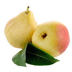 Image showing Two ripe pears