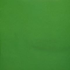 Image showing Green leather