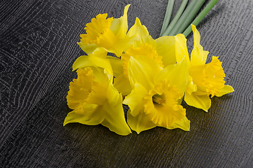 Image showing Yellow jonquil flowers