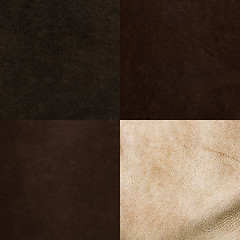 Image showing Set of brown leather samples