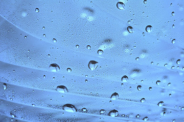 Image showing water drops