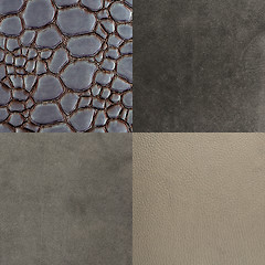 Image showing Set of grey leather samples