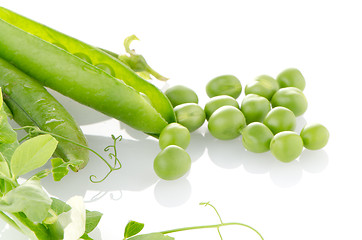 Image showing Fresh green pea pod