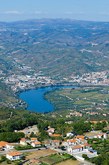 Image showing vineyars in Douro Valley