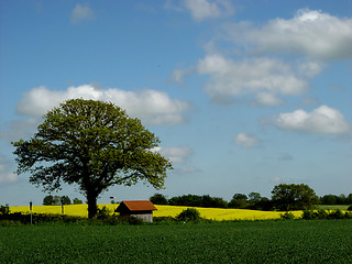 Image showing busstop in may