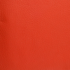 Image showing Red leather 