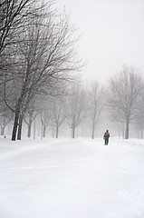 Image showing Man walking in a snowy park