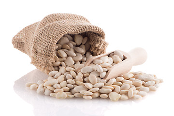 Image showing White beans bag