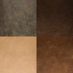 Image showing Set of brown leather samples